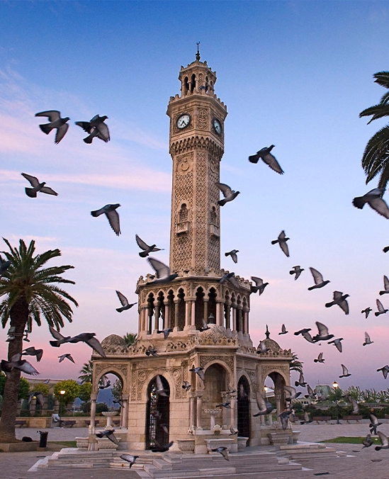 Sağlık Takvimi