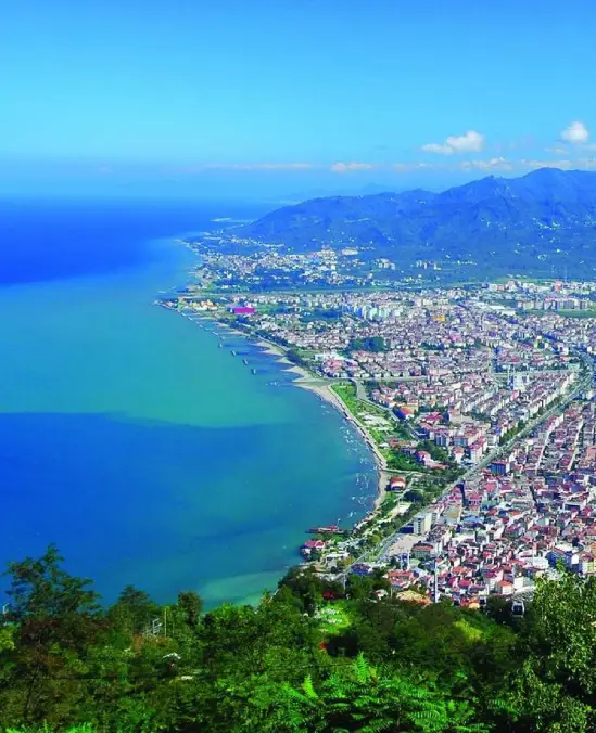 ORDU
