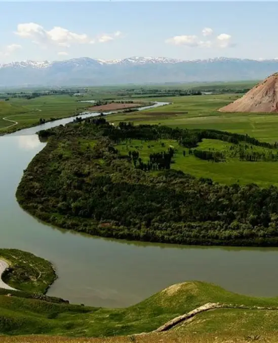 MUŞ
